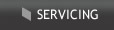 servcing